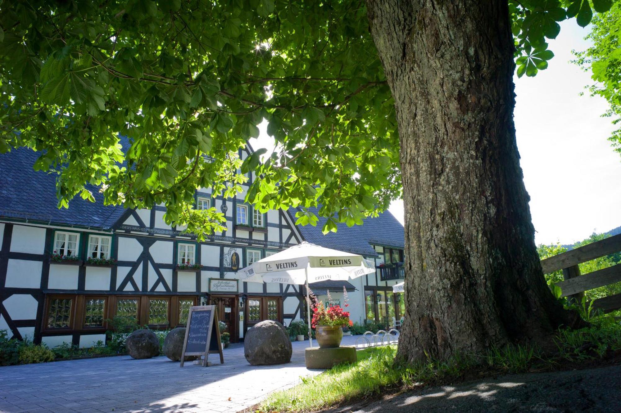 Forellenhof Poggel Eslohe Exterior foto